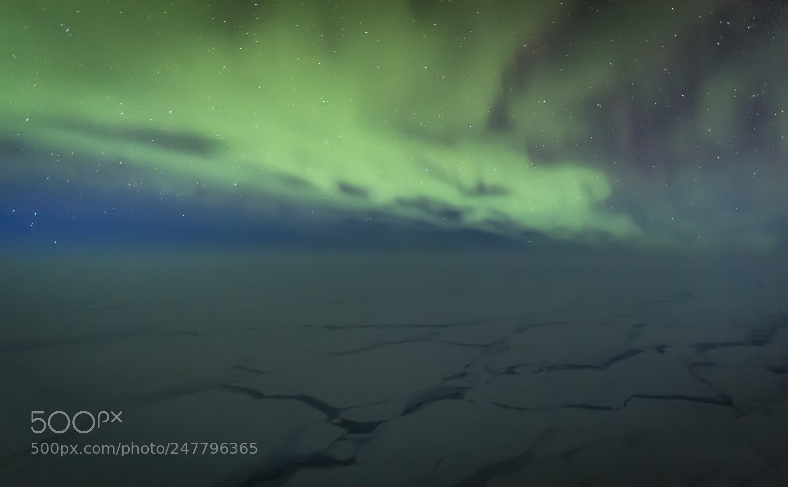 Nikon D5 sample photo. Northern lights photography