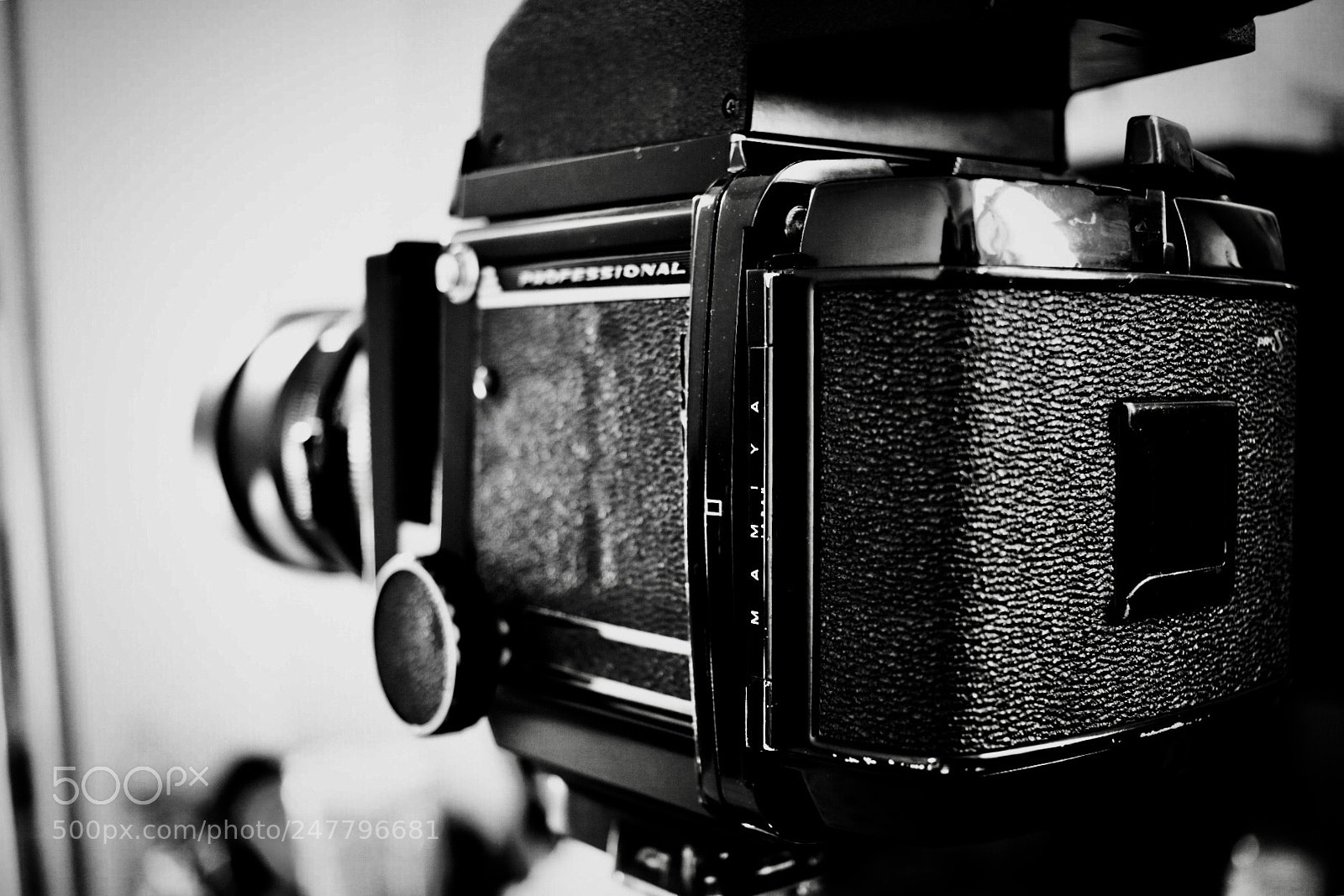 Canon EOS 80D sample photo. This is it! photography