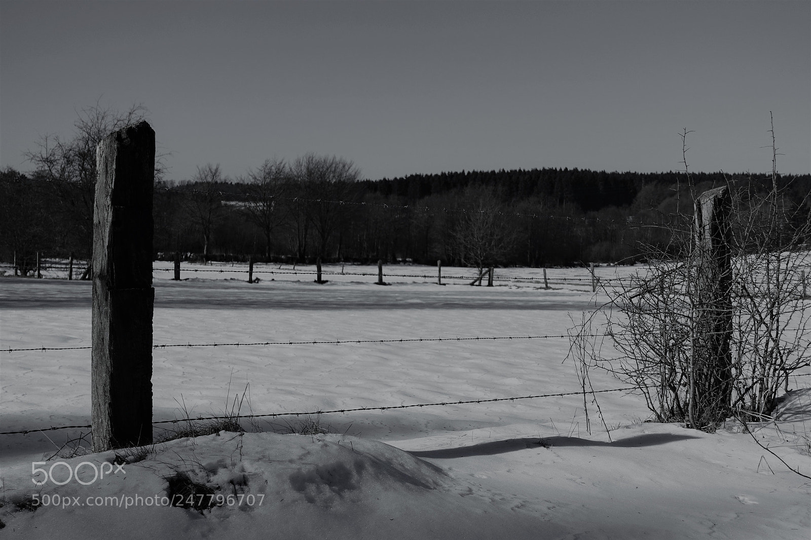 Sony Cyber-shot DSC-RX100 IV sample photo. Ardennes hivernales... photography