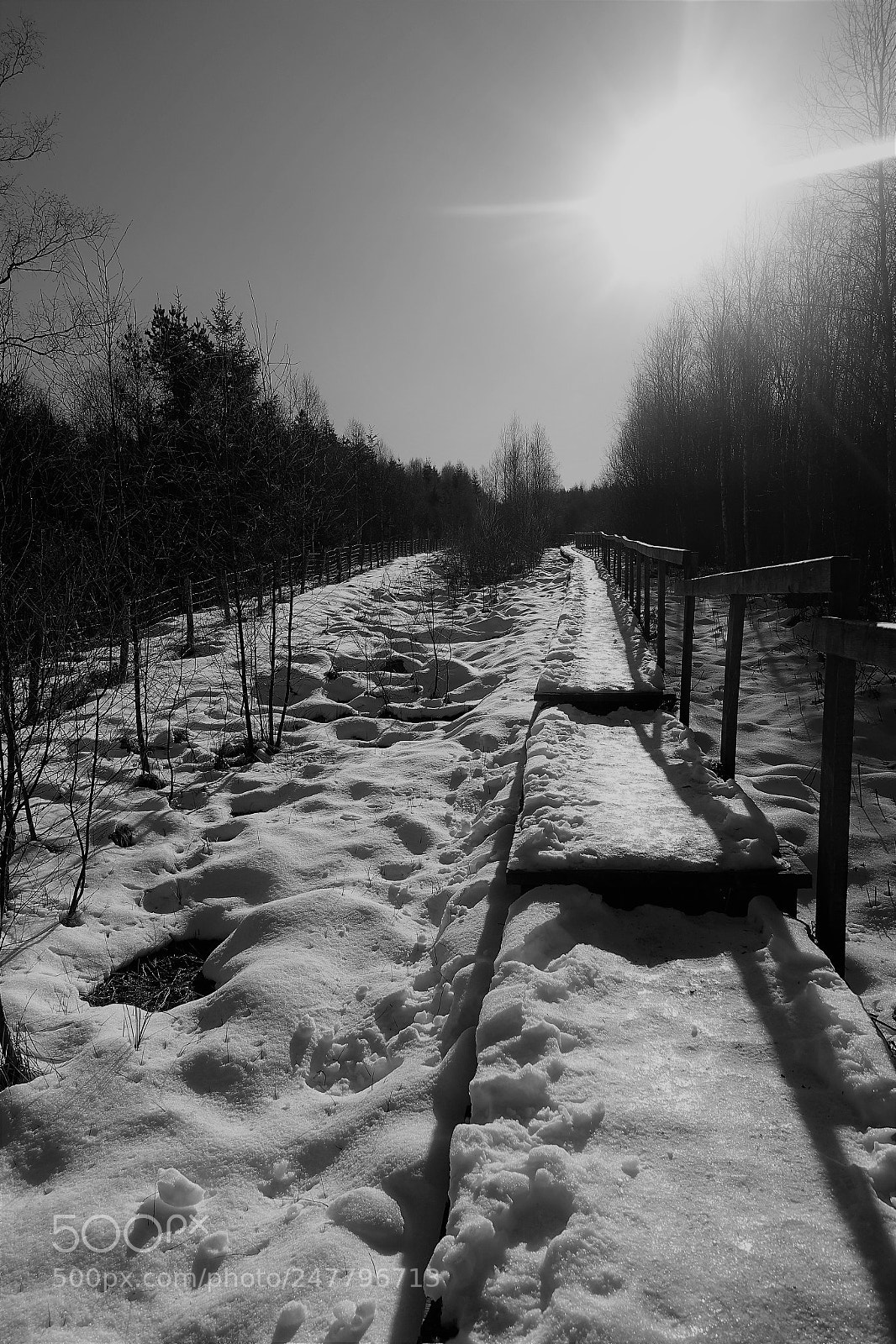 Sony Cyber-shot DSC-RX100 IV sample photo. Ardennes hivernales... photography