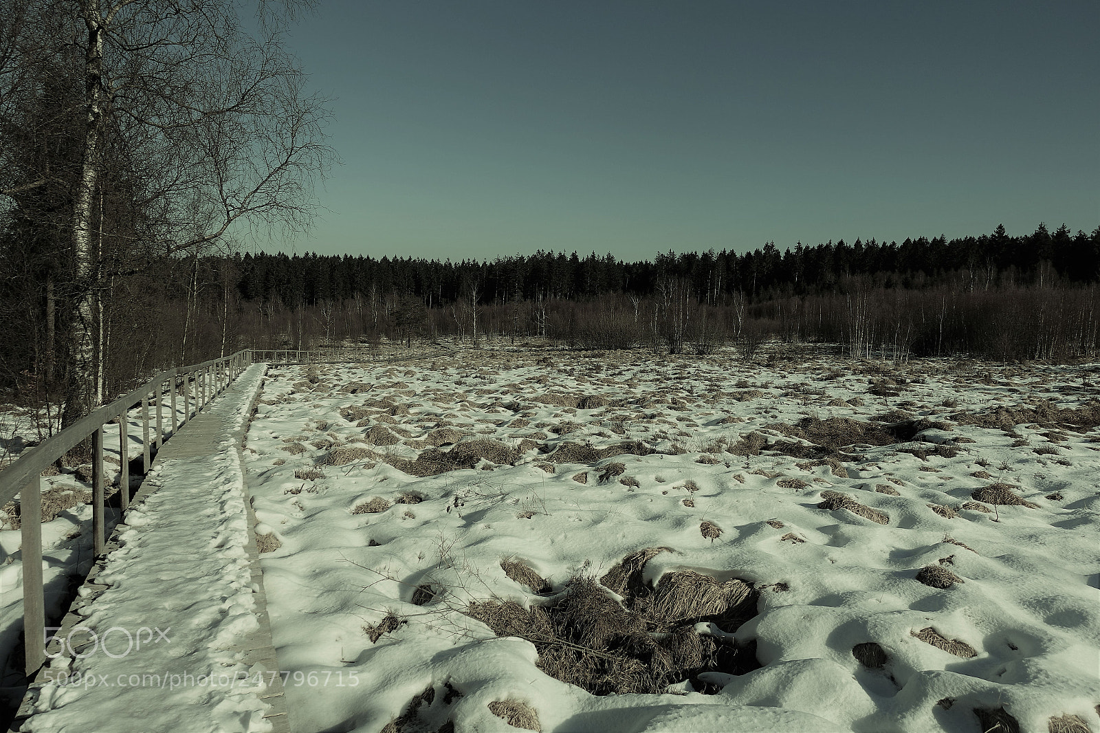 Sony Cyber-shot DSC-RX100 IV sample photo. Ardennes hivernales... photography