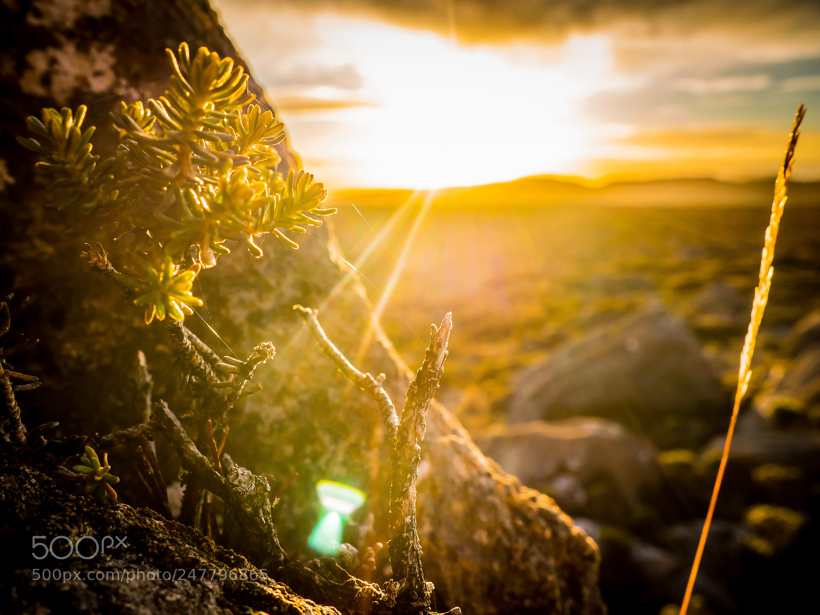 Olympus OM-D E-M10 sample photo. Spirit of kunanyi photography