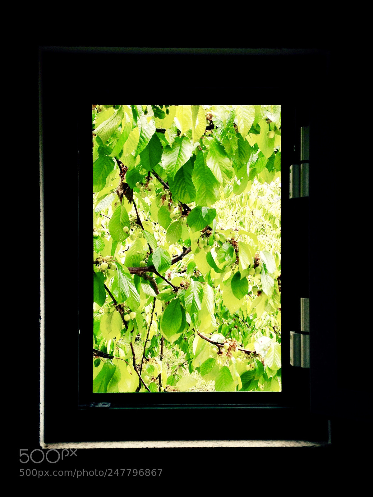 Apple iPhone 4S sample photo. Inside photography