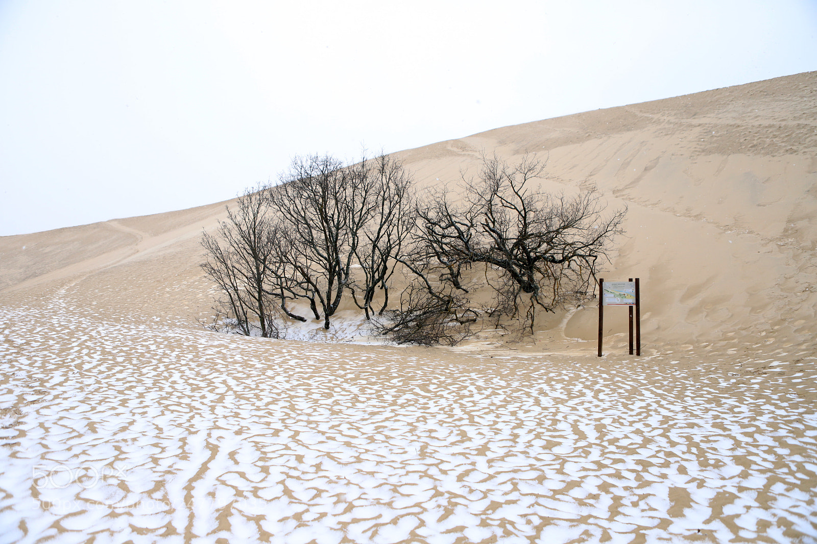 Canon EOS 6D Mark II sample photo. Entre sable & neige ... photography