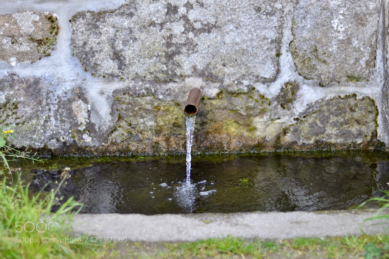 Nikon D3100 sample photo. Precious photography