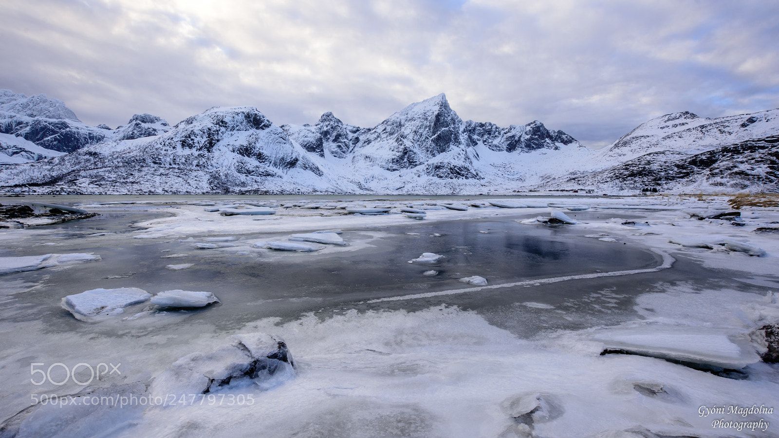 Nikon D7200 sample photo. Frosty world photography