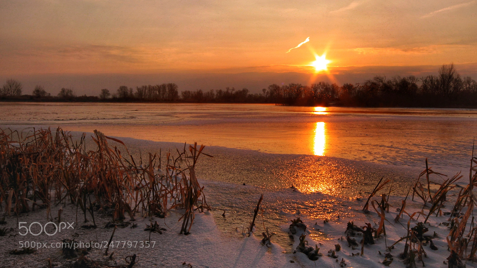 Canon EOS-1D Mark IV sample photo. Untitled photography