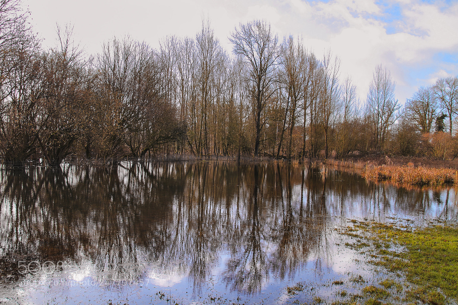 Canon EOS 7D sample photo. Reflection of autumn. photography