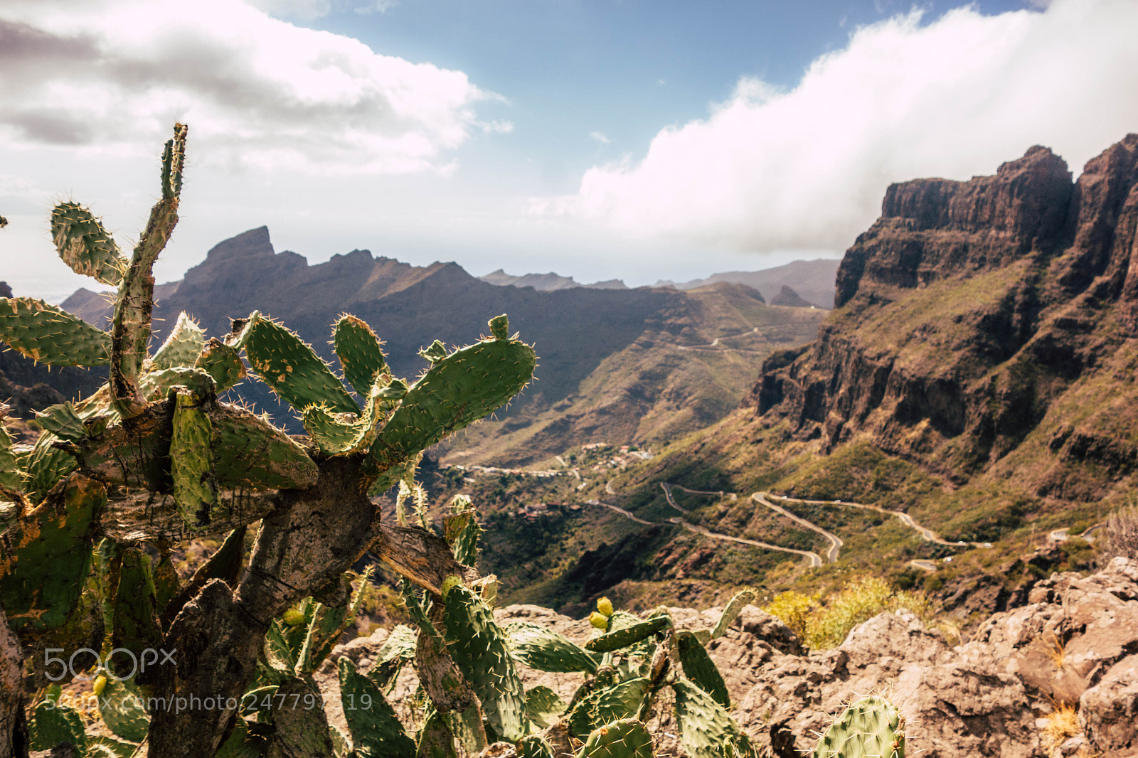 Sony Cyber-shot DSC-RX100 sample photo. Masca tenerife photography