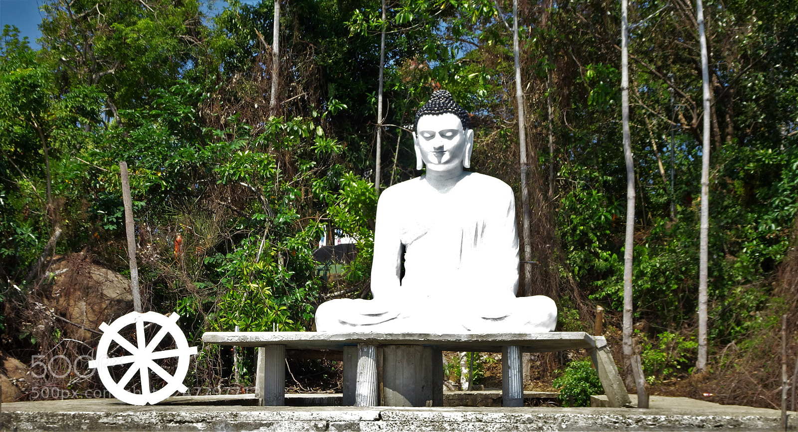 Sony Cyber-shot DSC-HX90V sample photo. Dsc photography