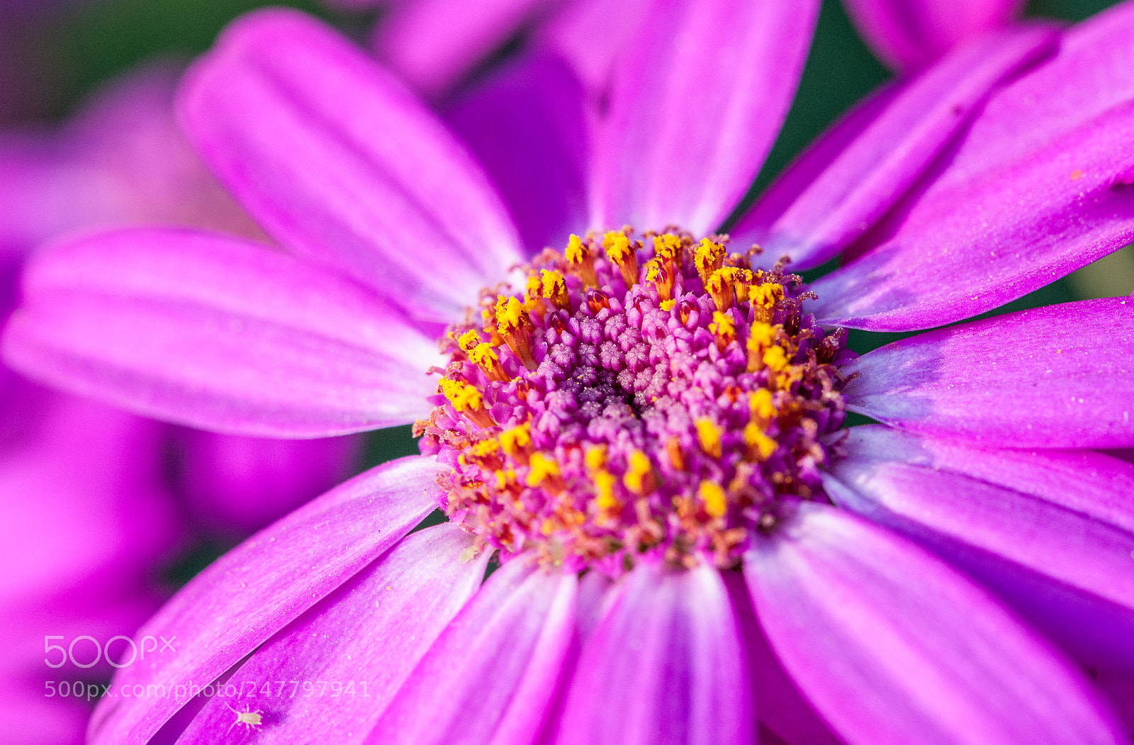 Nikon D700 sample photo. Untitled photography