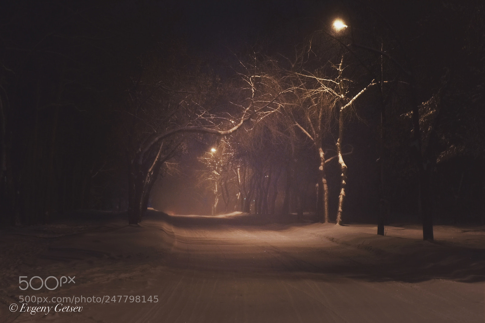 Nikon D3400 sample photo. The dark lane photography