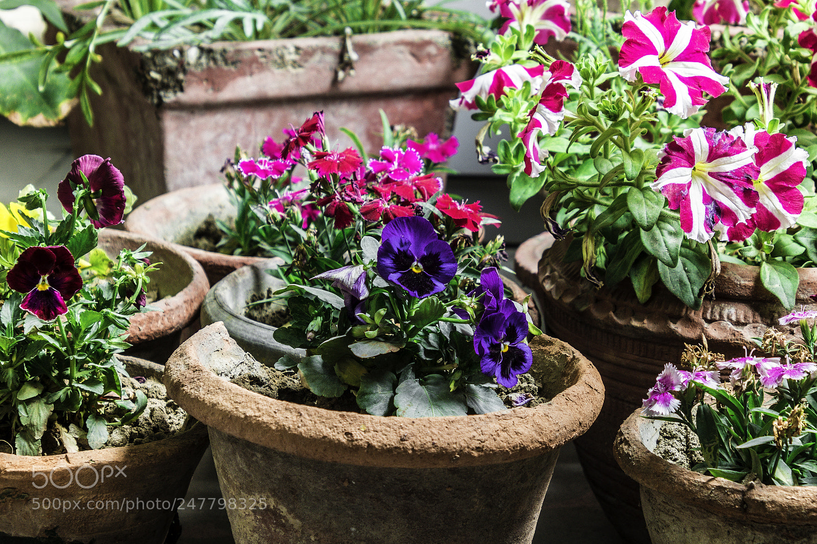 Nikon D7200 sample photo. Dsc photography