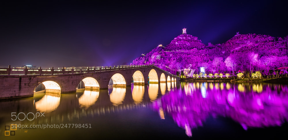 Nikon D810 sample photo. The lantern festival is photography