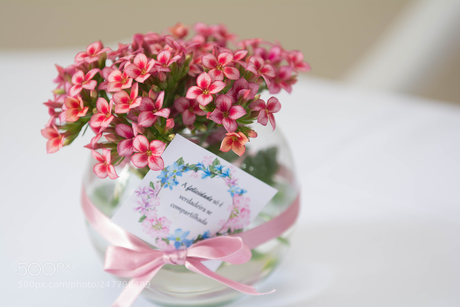 Nikon D7100 sample photo. Untitled photography