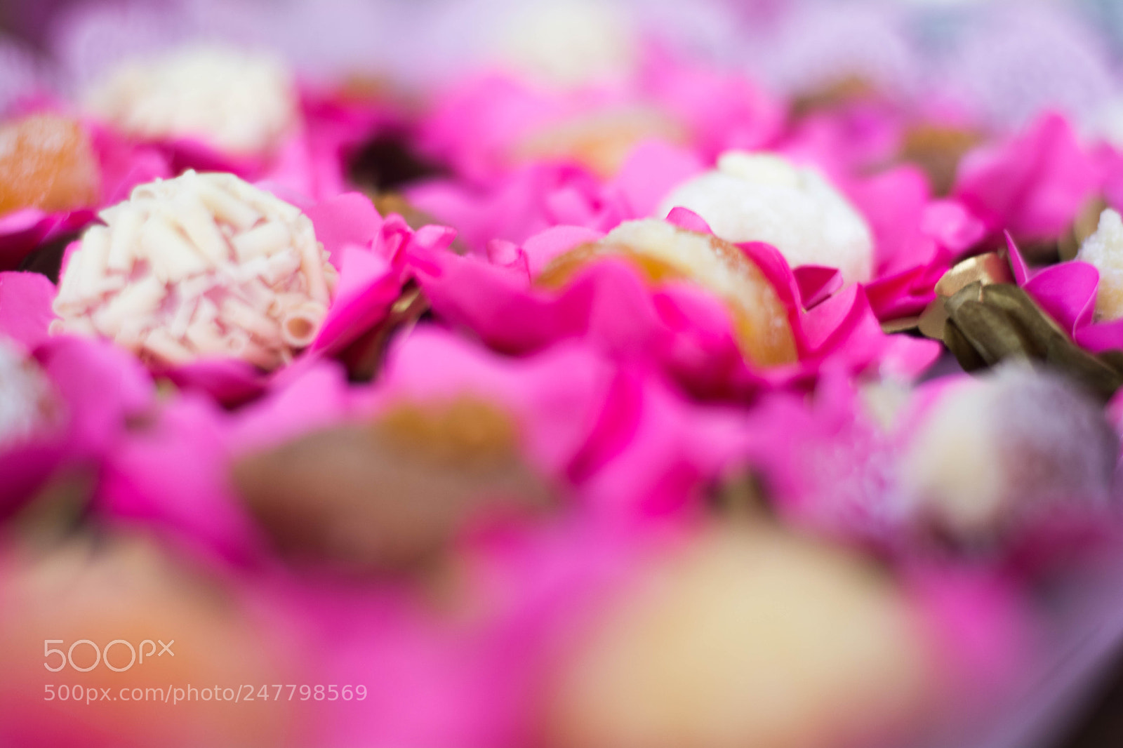 Nikon D7100 sample photo. Untitled photography