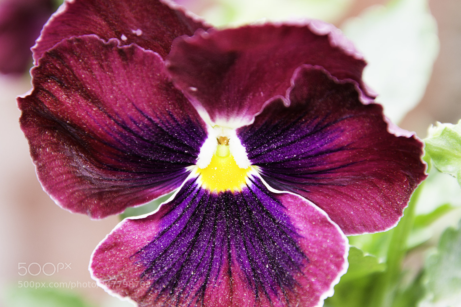 Nikon D7200 sample photo. Dsc photography