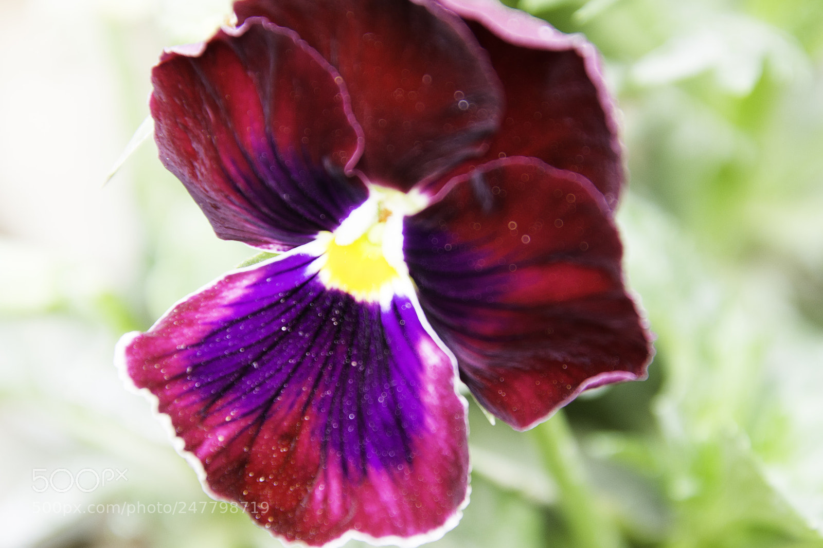 Nikon D7200 sample photo. Dsc photography