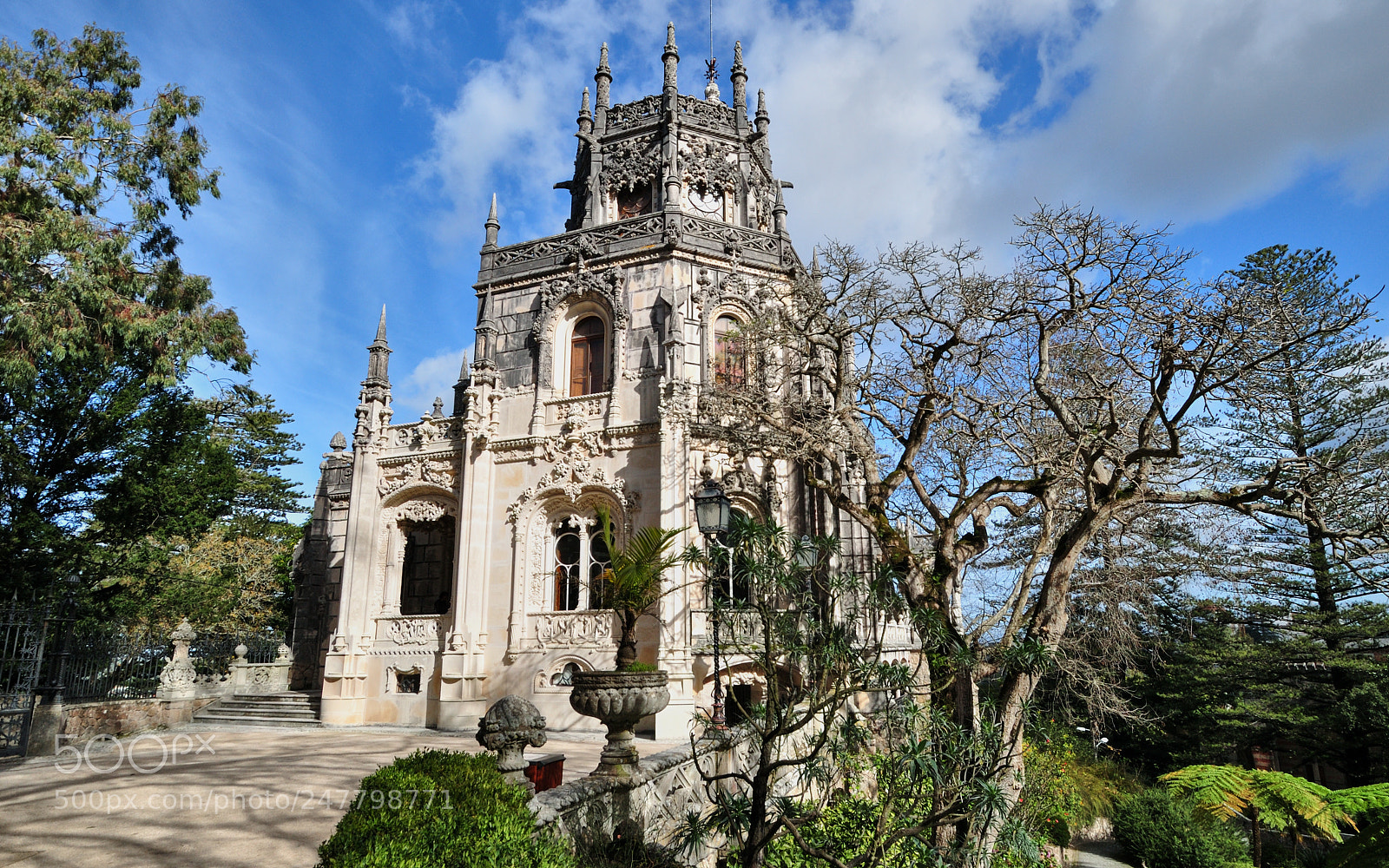 Nikon D5000 sample photo. Quinta da regaleira photography