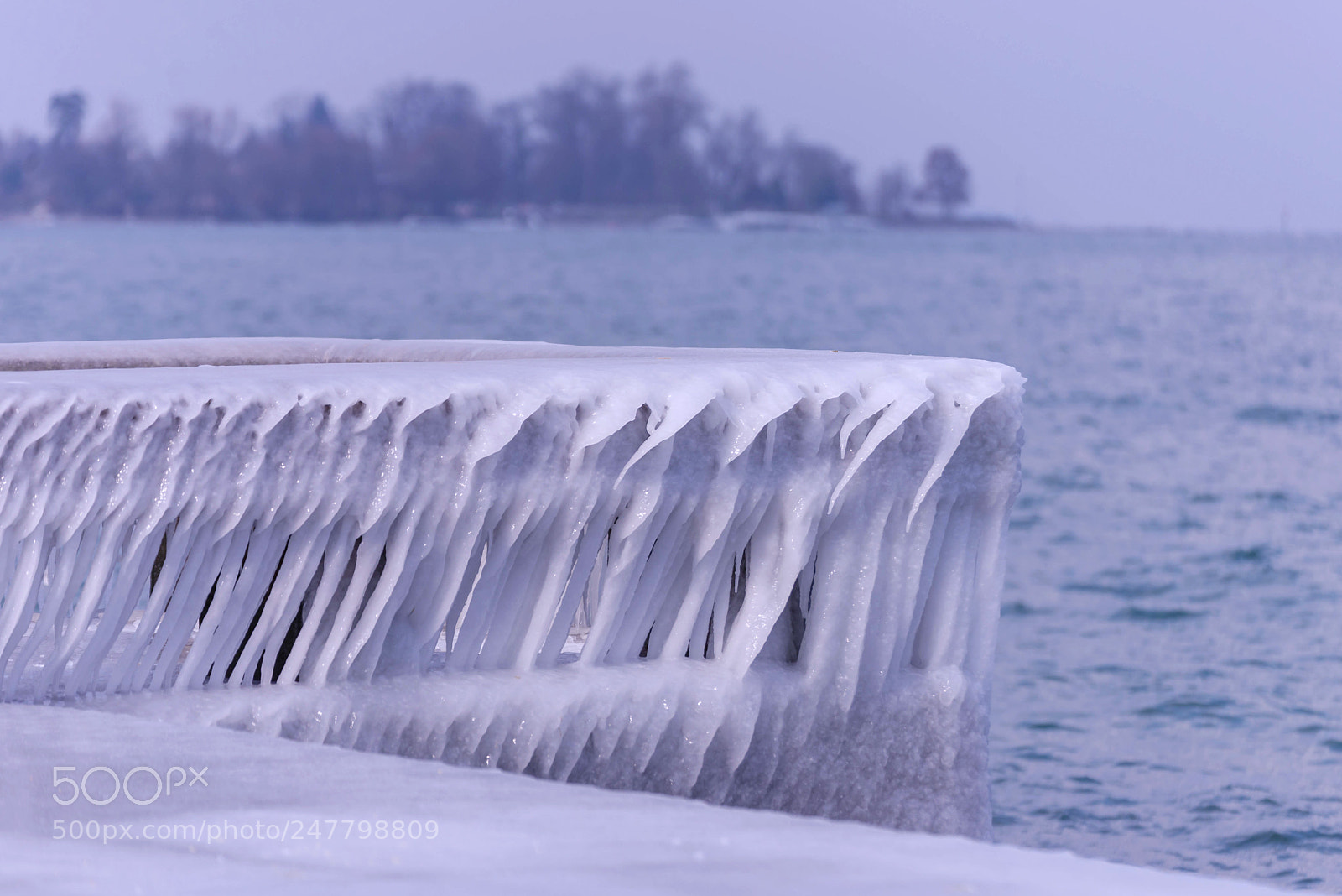 Nikon D610 sample photo. Cold winter photography