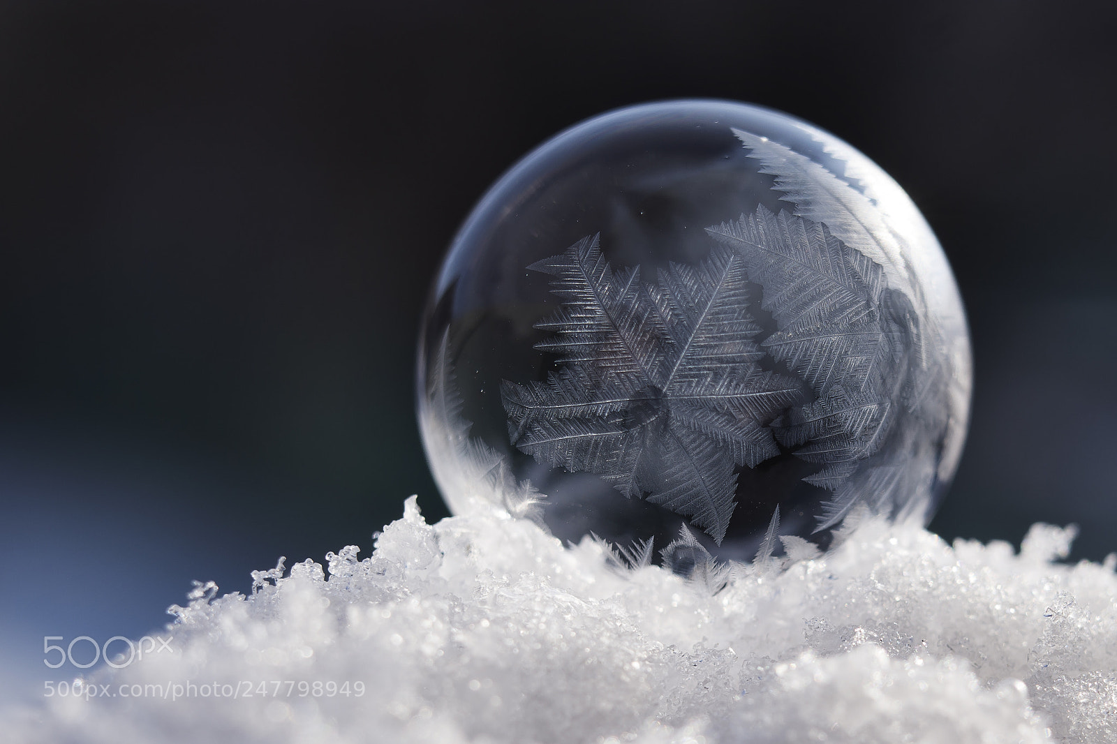 Nikon D7100 sample photo. March´s bubble photography