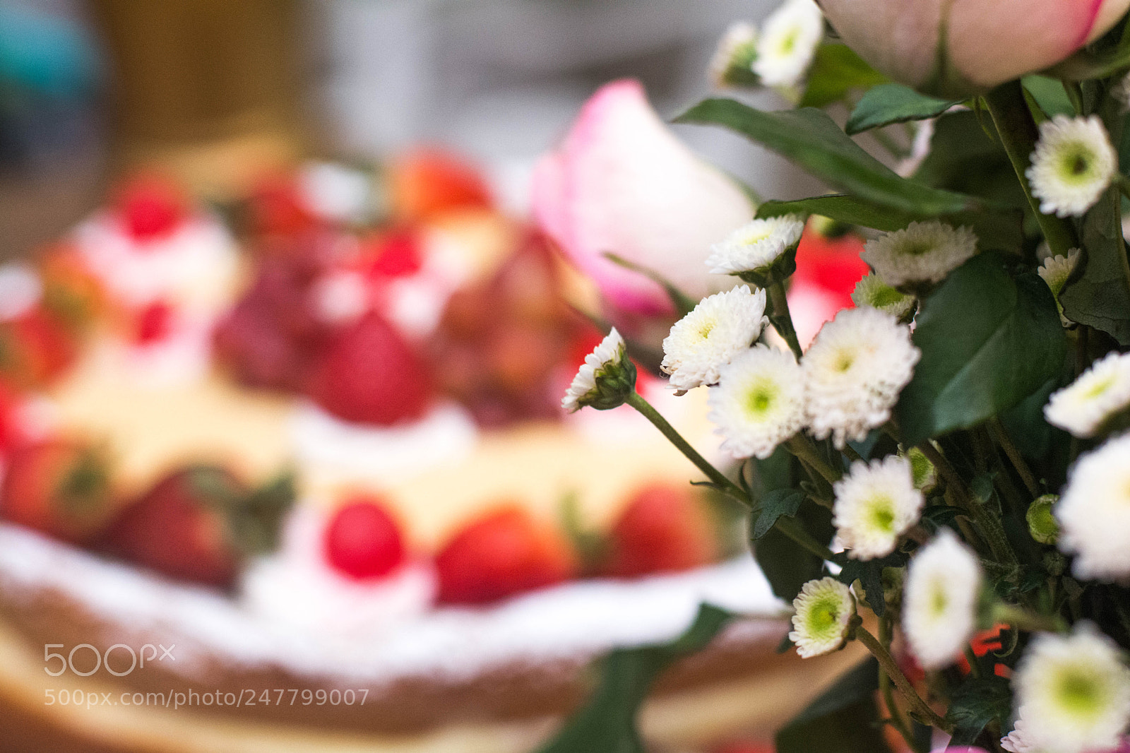 Nikon D7100 sample photo. Untitled photography