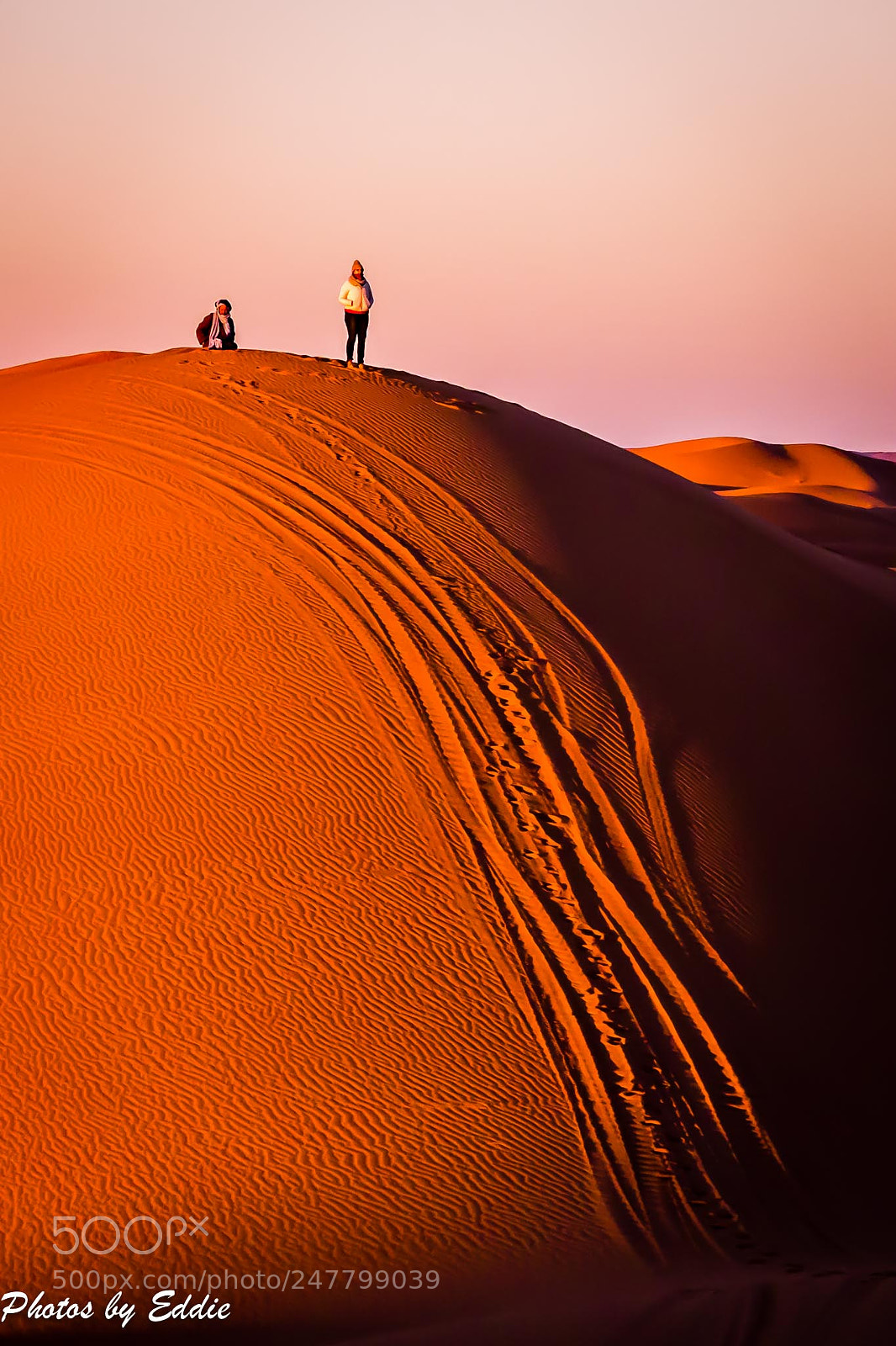 Olympus OM-D E-M1 Mark II sample photo. Top of the dune photography