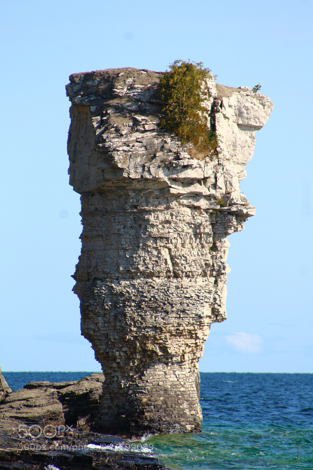 Canon EF 75-300mm f/4-5.6 sample photo. Img photography