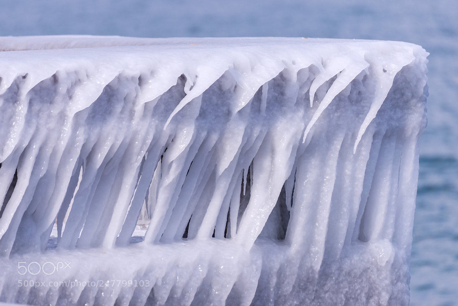 Nikon D610 sample photo. Frozen photography