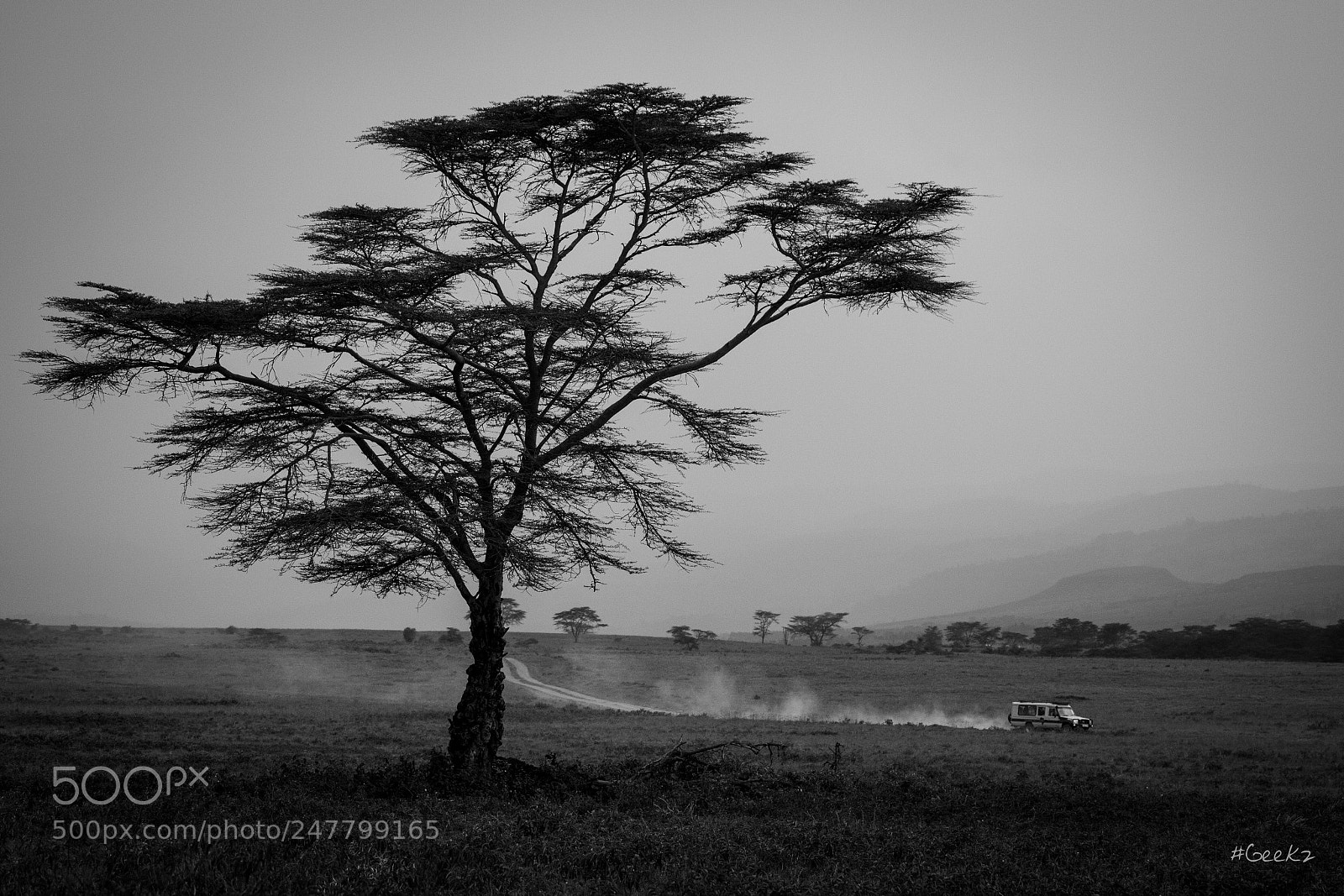 Canon EOS 100D (EOS Rebel SL1 / EOS Kiss X7) sample photo. Another lonely tree... photography