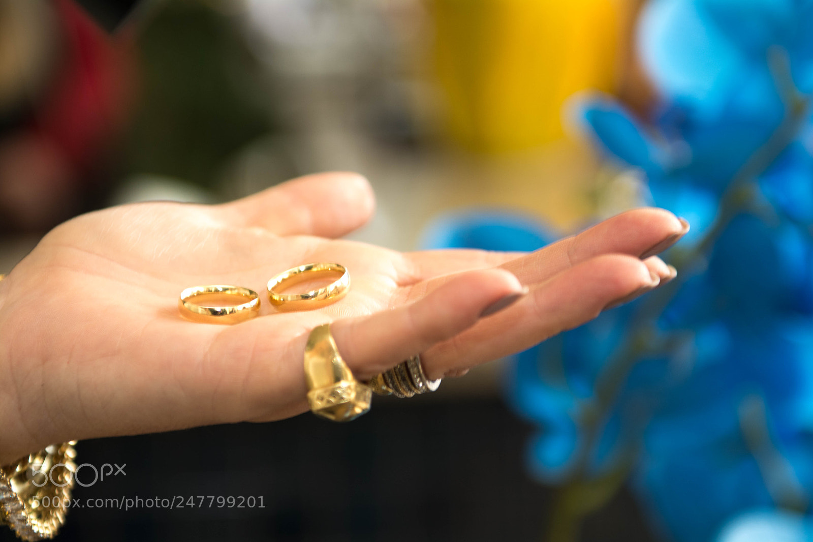 Nikon D7100 sample photo. Untitled photography