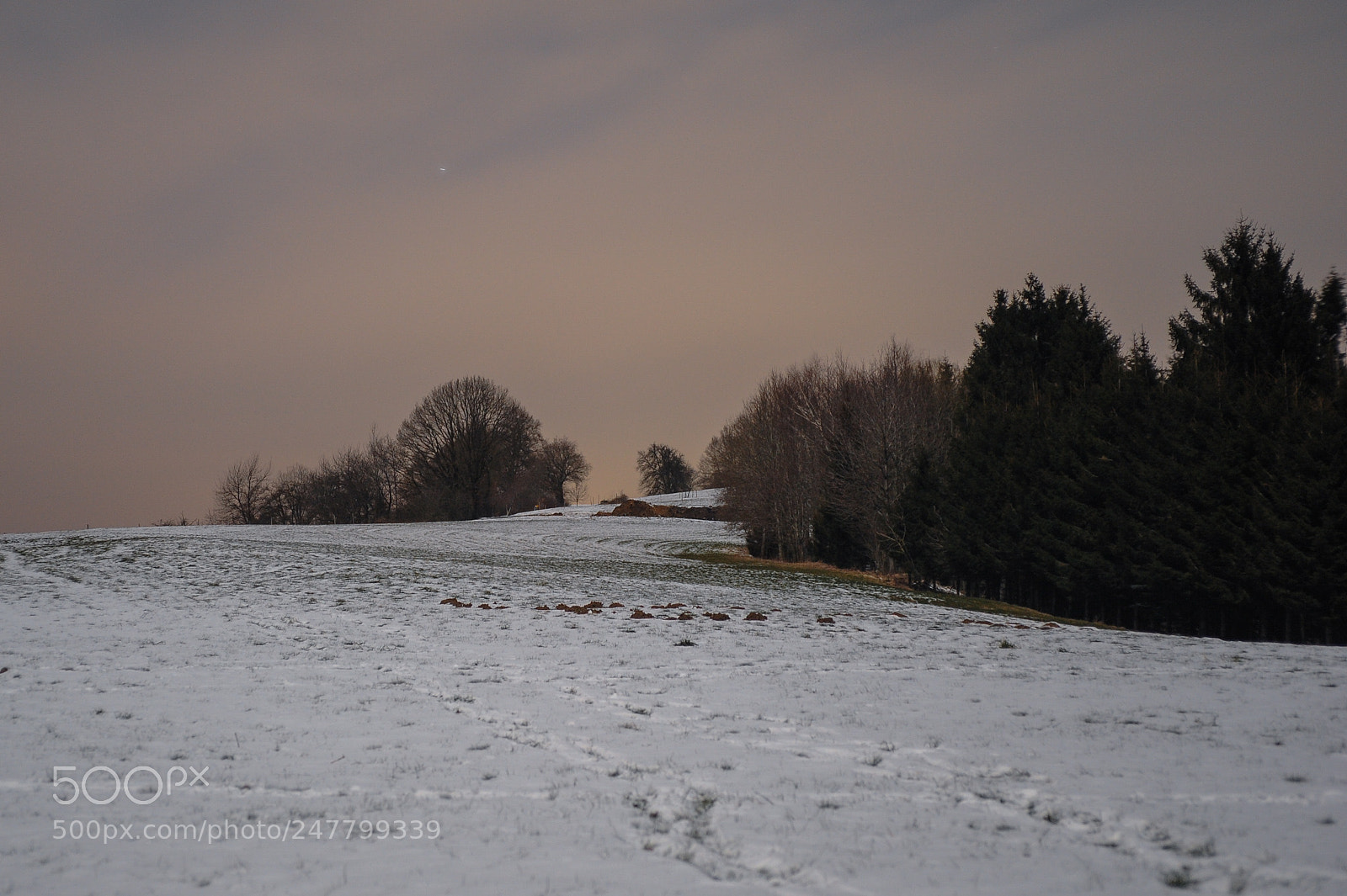 Nikon D700 sample photo. Moonlit landscape photography
