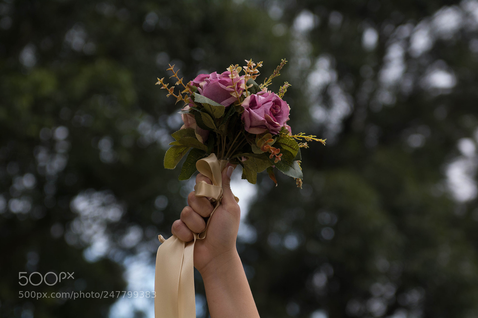 Nikon D7100 sample photo. Untitled photography