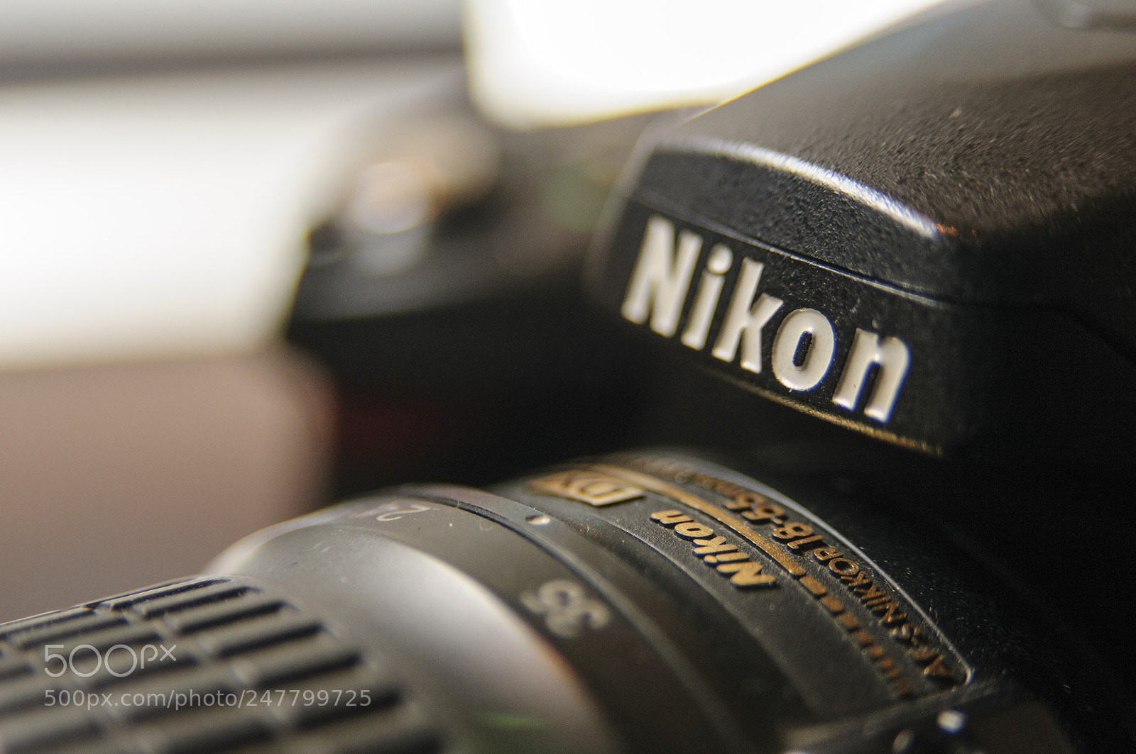 Nikon D300S sample photo. Nikon photography