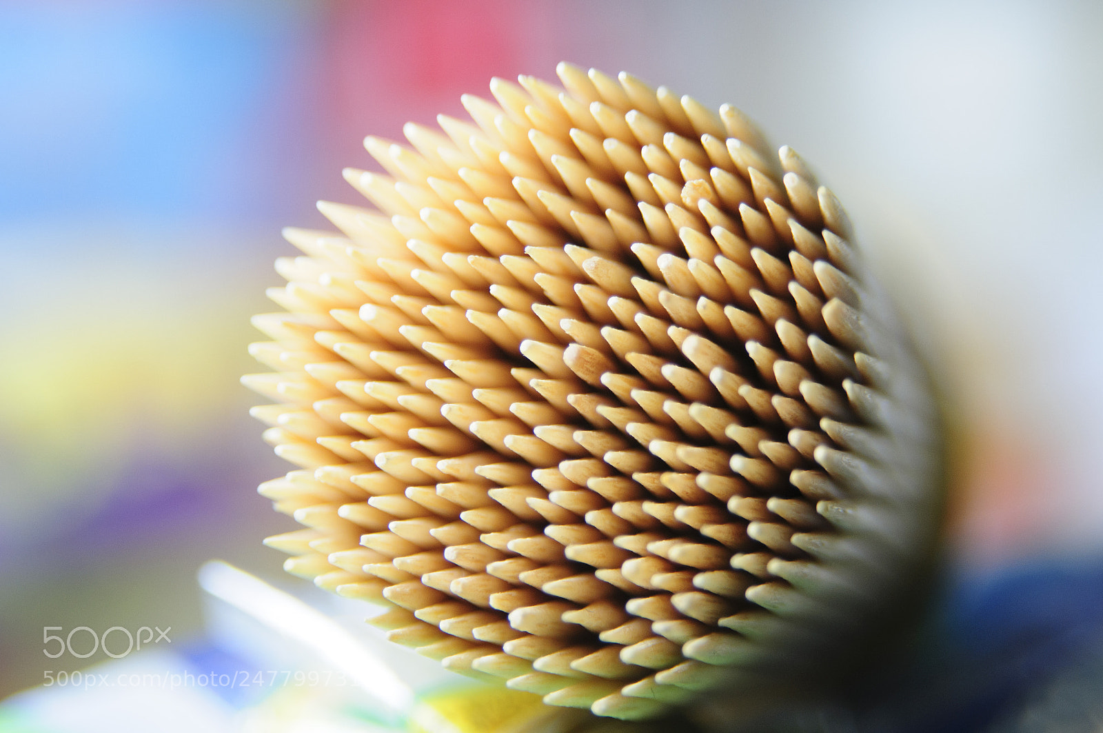Nikon D300S sample photo. Toothpick photography