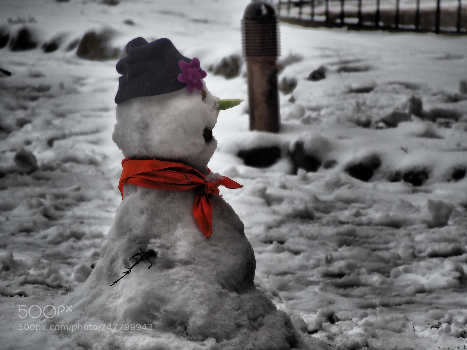 Olympus OM-D E-M10 sample photo. Lonelyness of a snowman photography