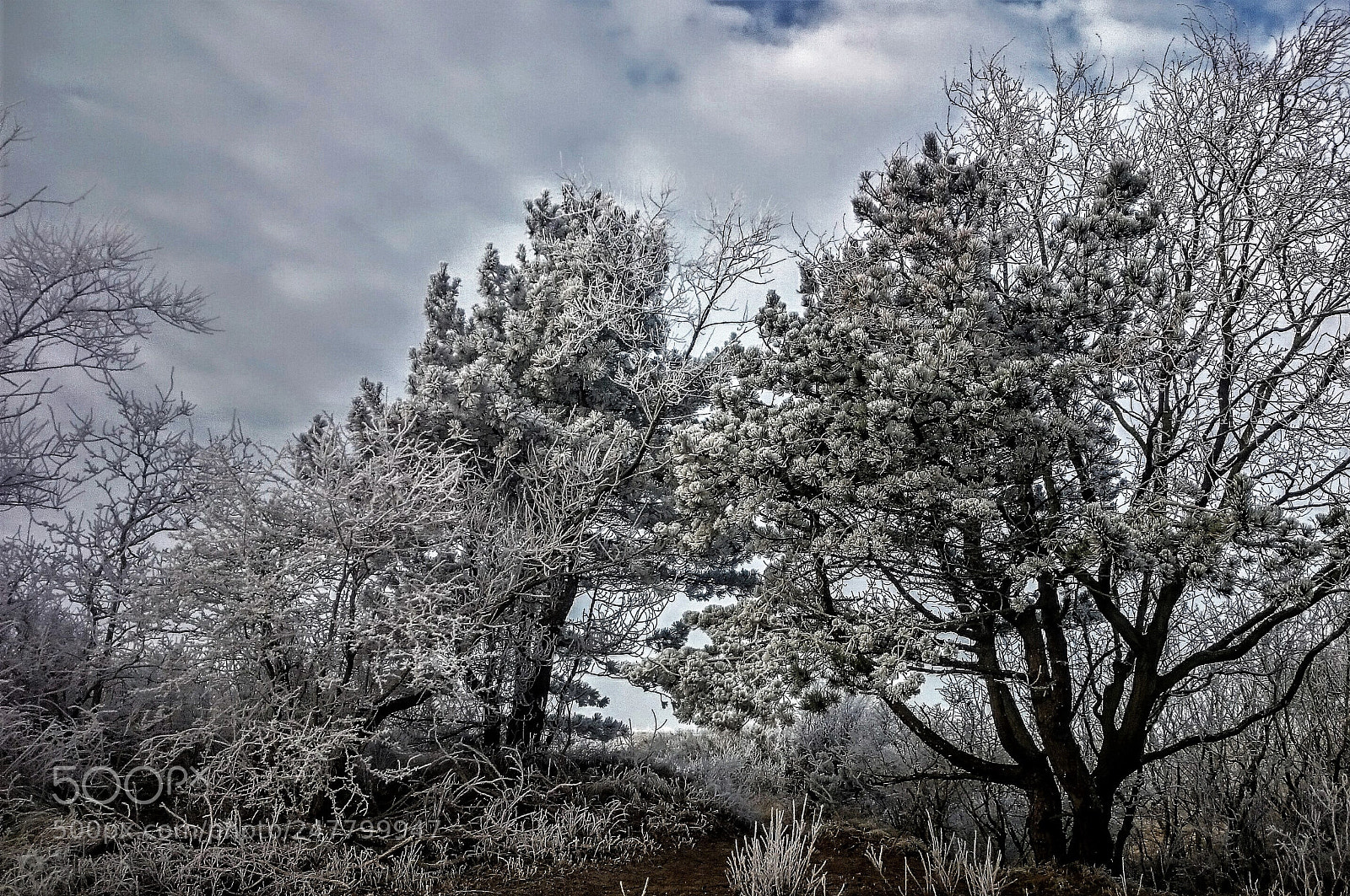 Sony Xperia Z2 sample photo. Dsc photography