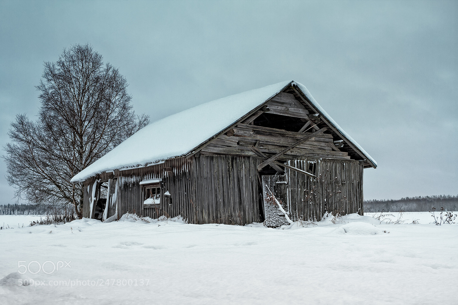 Canon EOS 7D sample photo. Cold day on the photography