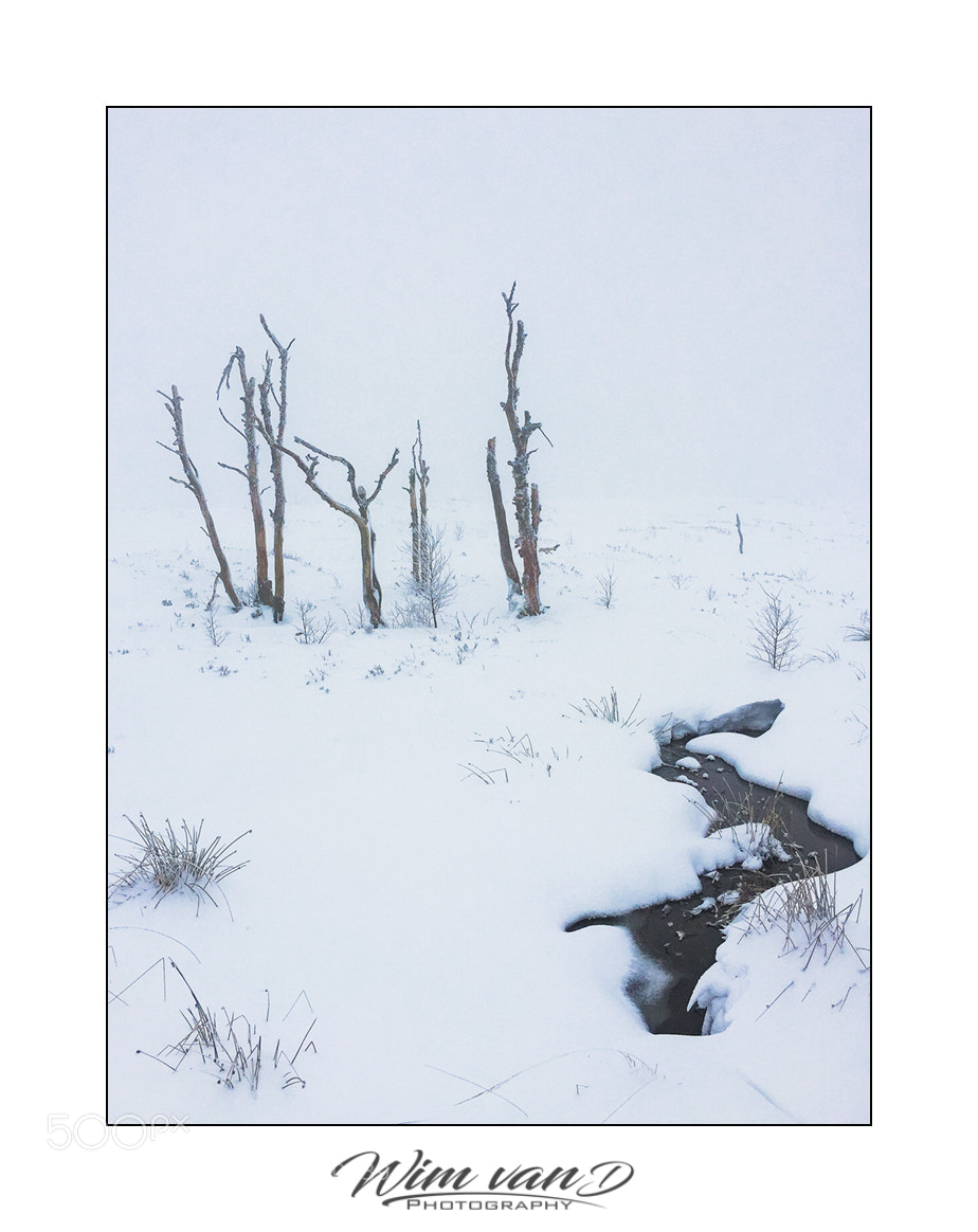 Apple iPhone 6 sample photo. Belgium winter photography