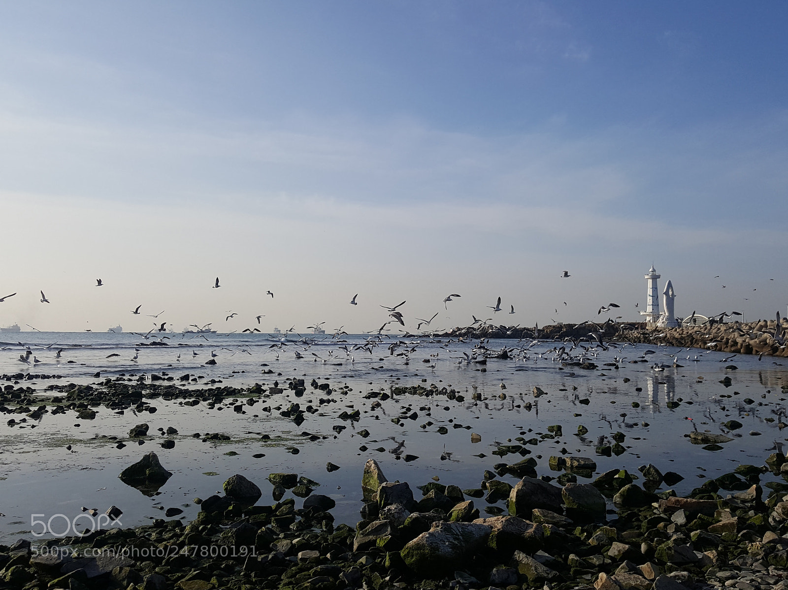 Samsung Galaxy Note5 sample photo. Untitled photography