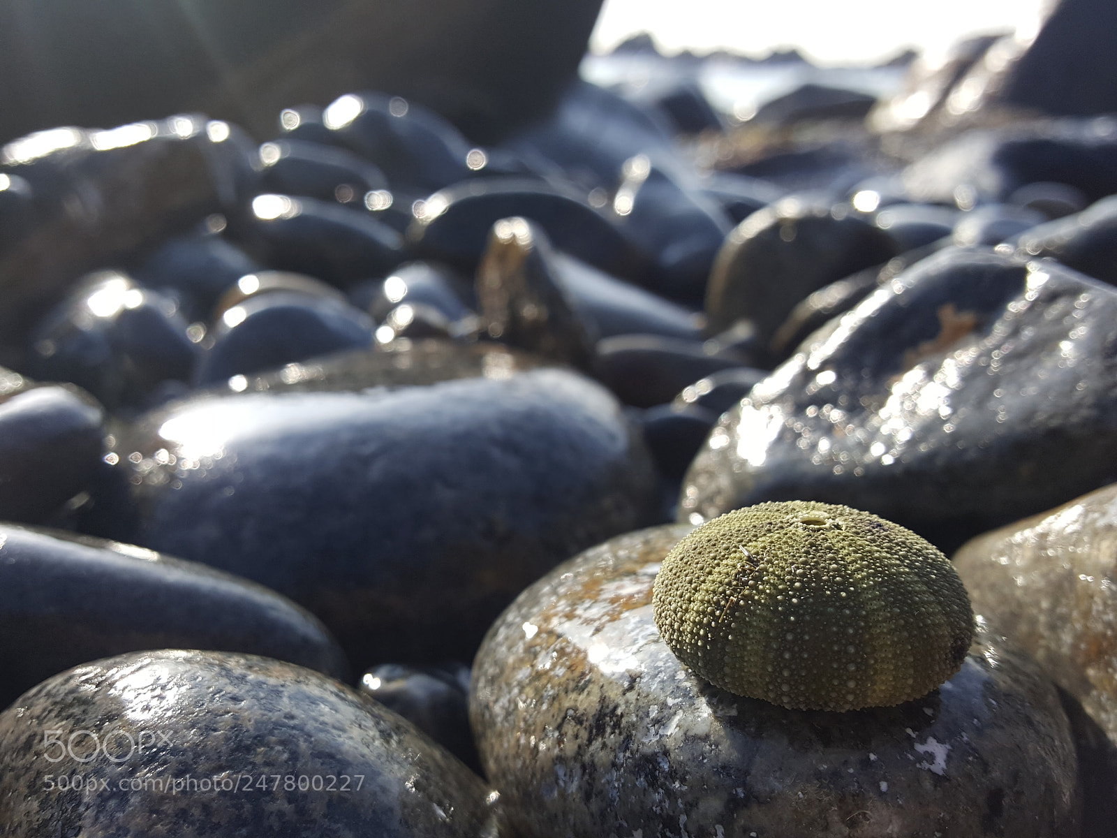 Samsung Galaxy Note5 sample photo. Untitled photography