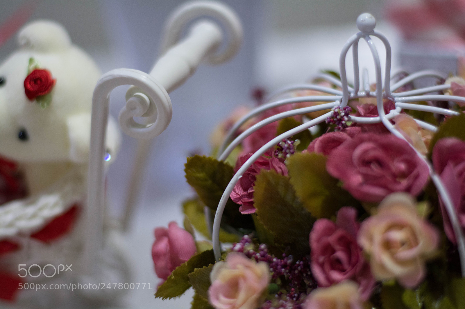 Nikon D7100 sample photo. Untitled photography