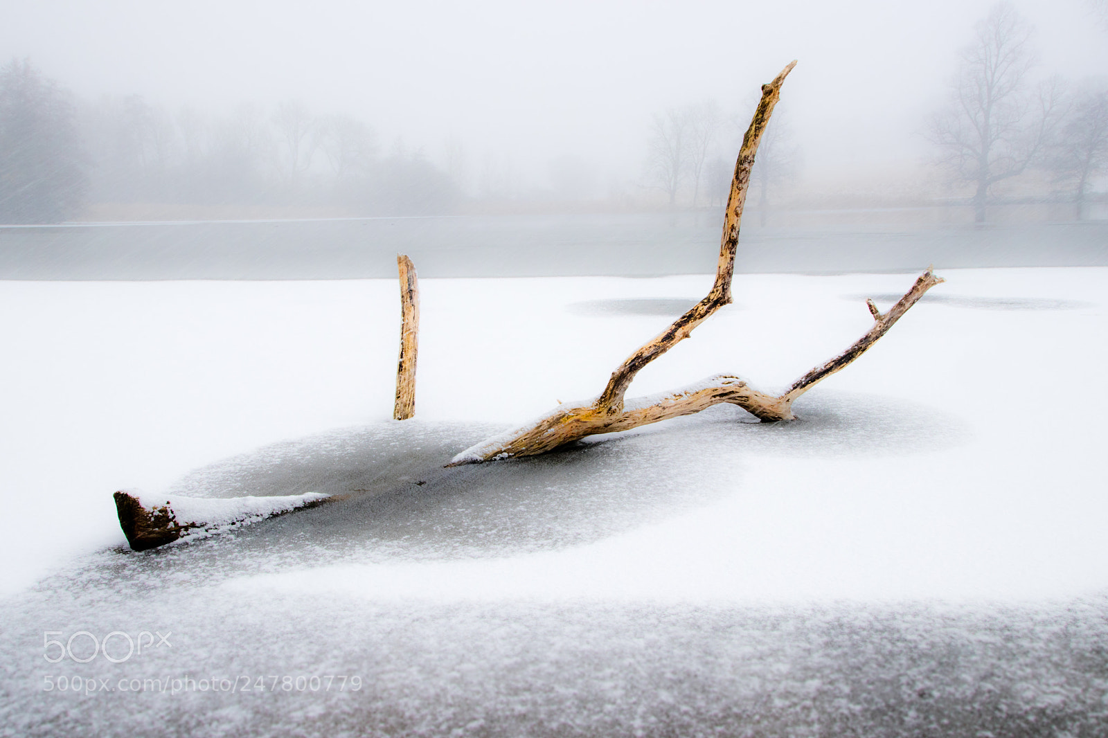 Canon EOS 77D (EOS 9000D / EOS 770D) sample photo. Wimpole in the snow photography