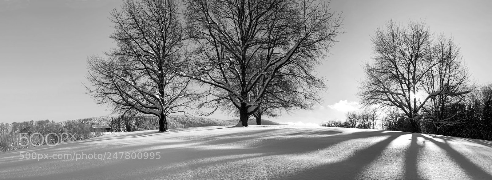 Pentax K-5 II sample photo. Panorama medvednica photography