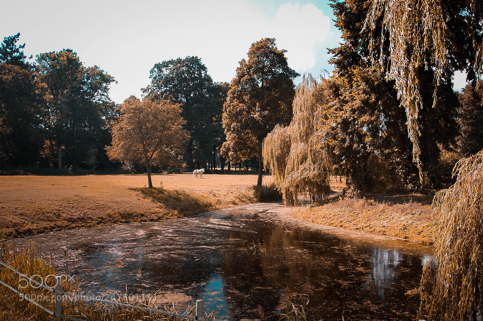 Nikon D40 sample photo. Untitled photography