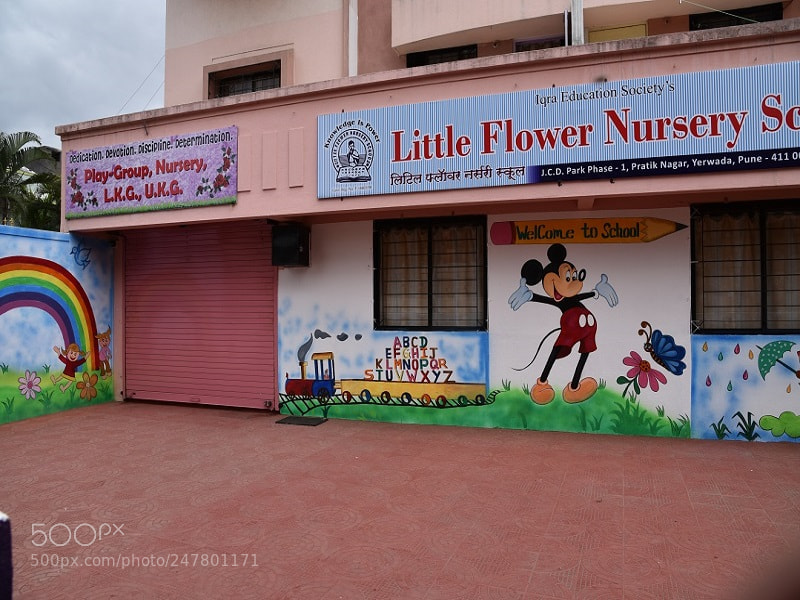 Nikon D750 sample photo. Little flower nursery school photography