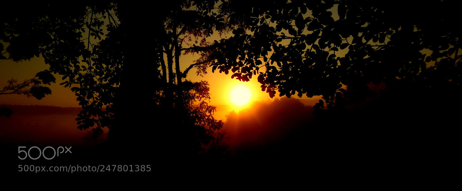 Fujifilm FinePix SL1000 sample photo. Colors in the morning .... photography
