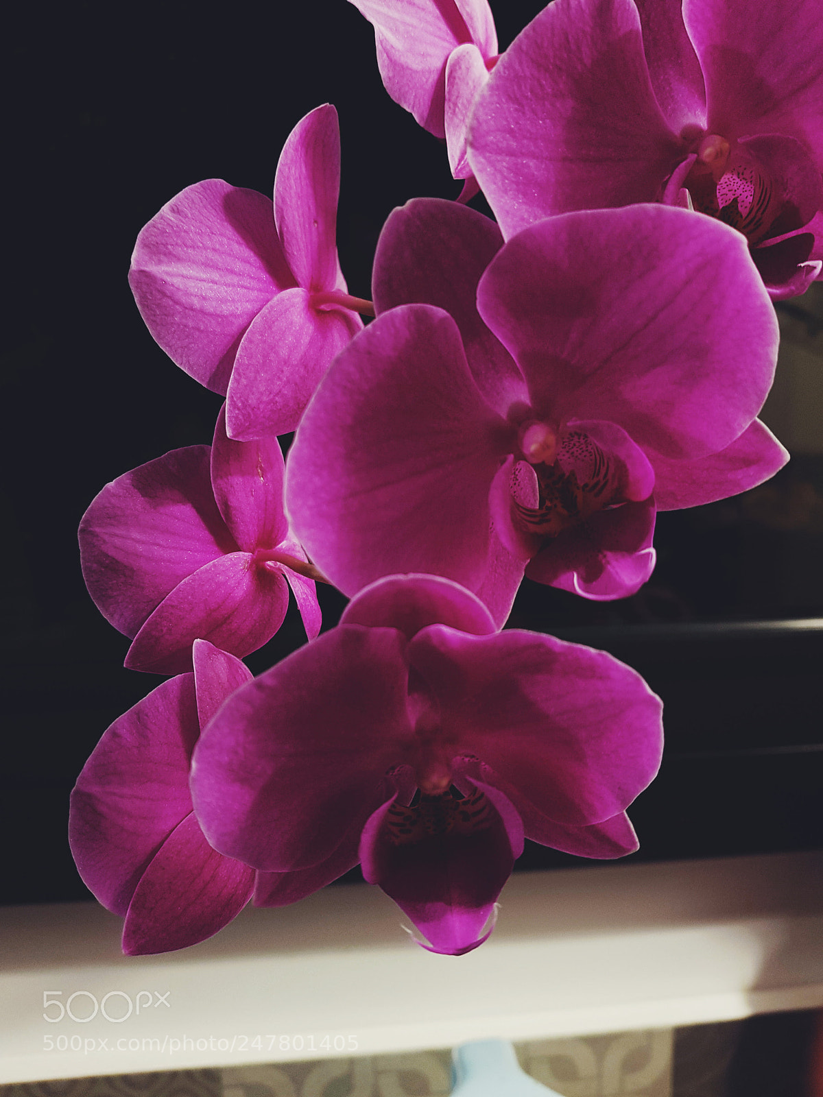 Samsung Galaxy S8 sample photo. Untitled photography
