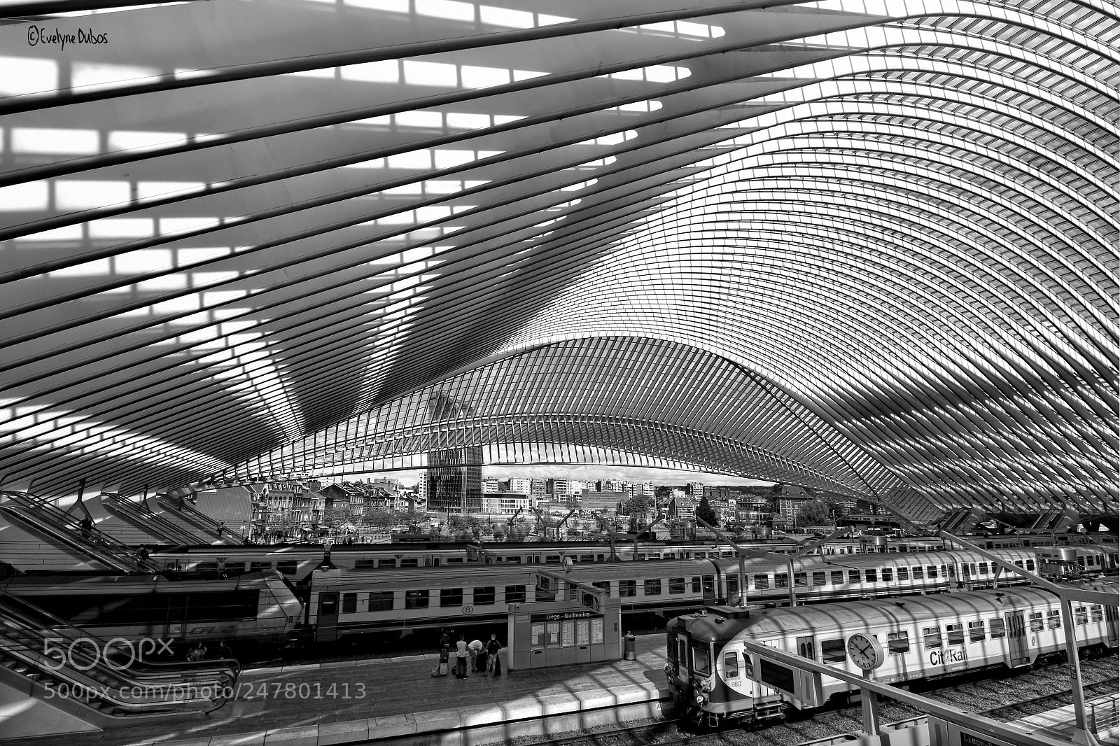 Canon EOS 650D (EOS Rebel T4i / EOS Kiss X6i) sample photo. Liège guillemins. photography