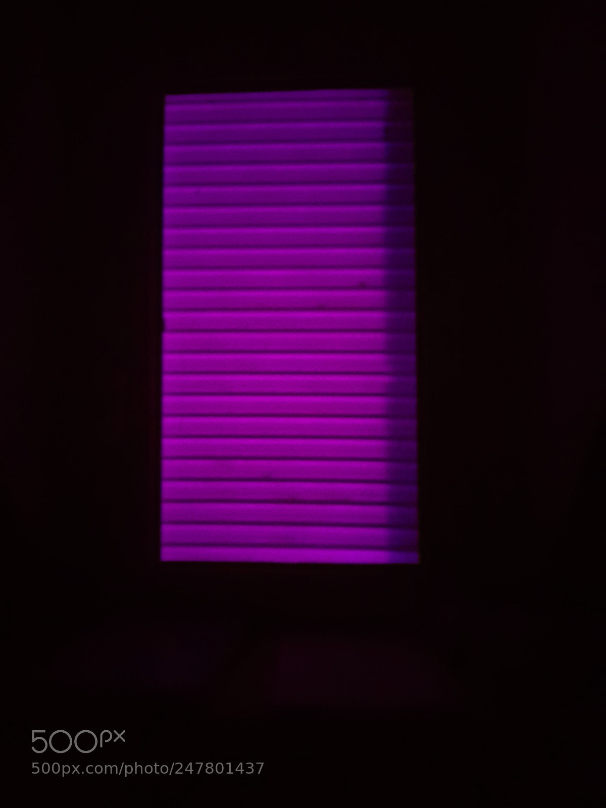 Samsung Galaxy S8 sample photo. Untitled photography